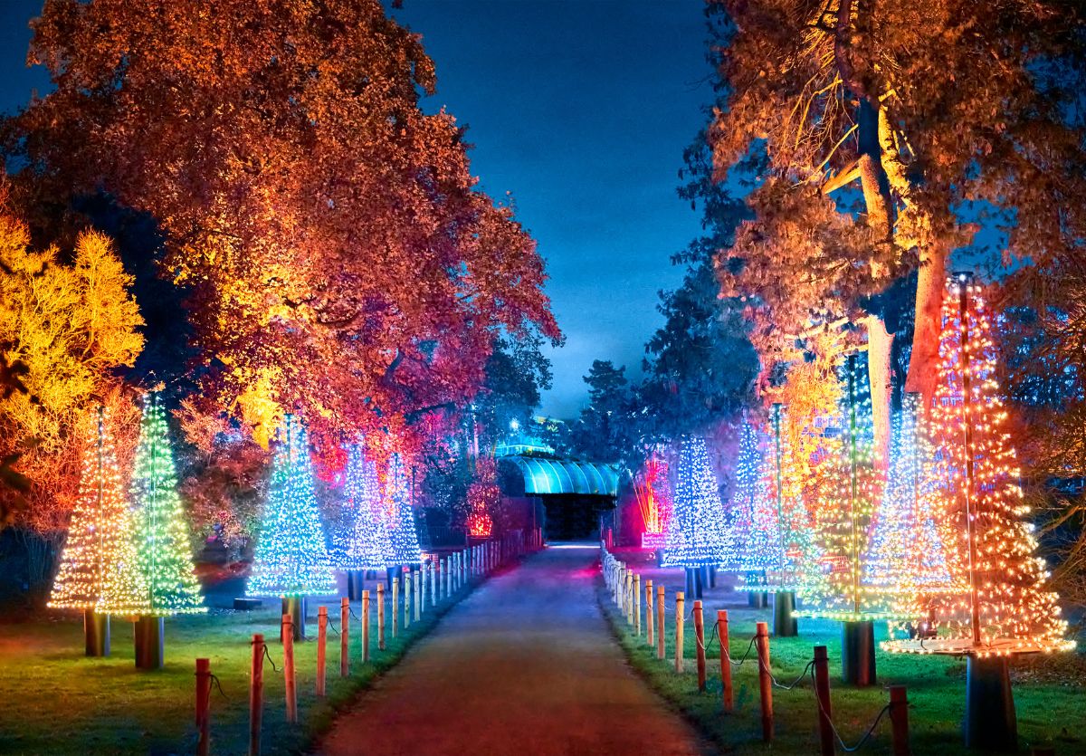 Luci di Natale a Kew Garden