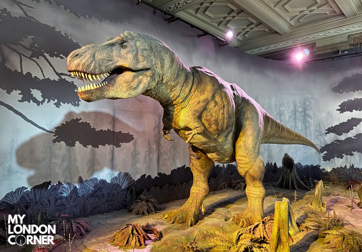 T-Rex Museo Storia Naturale