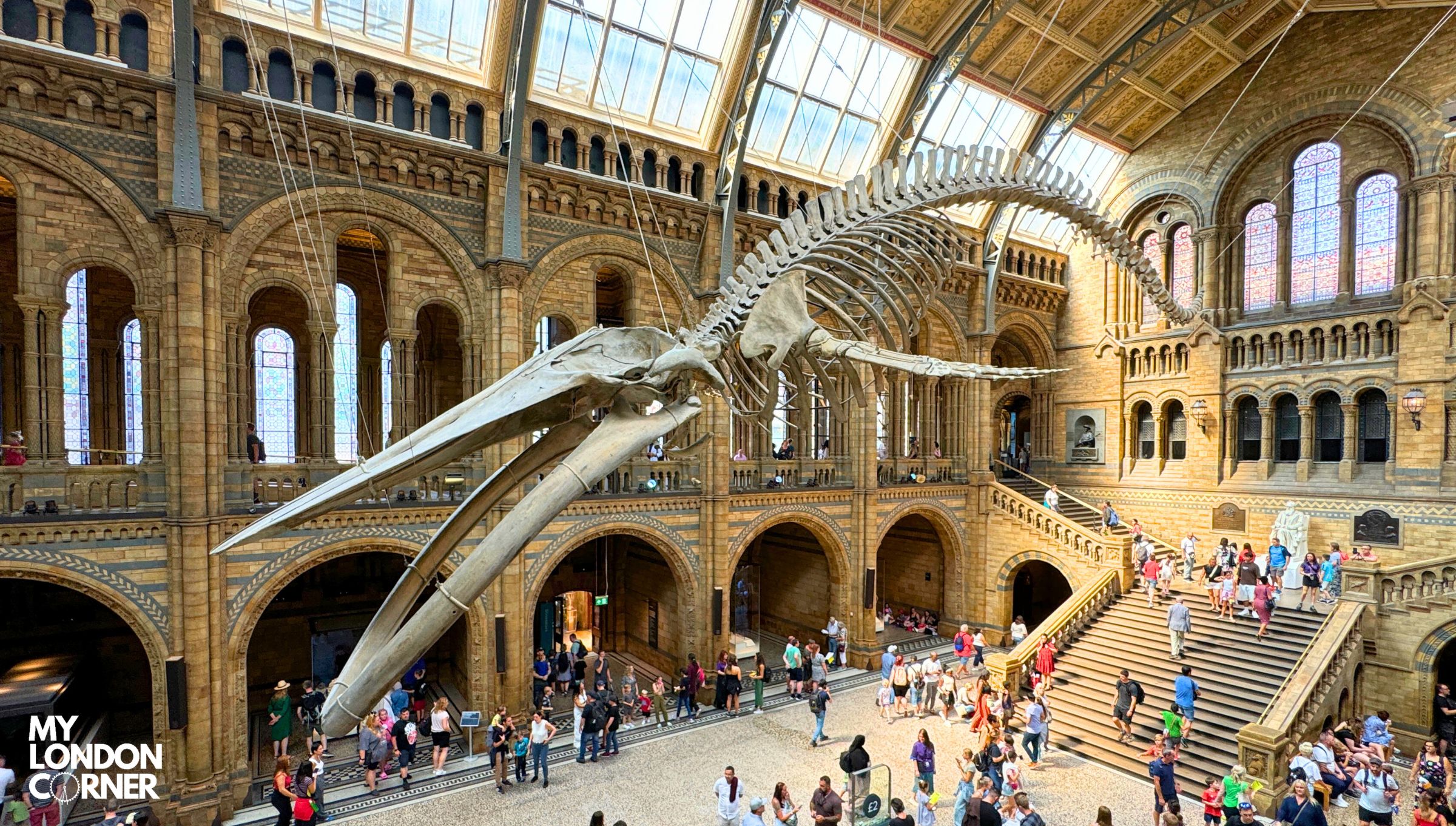 Natural History Museum