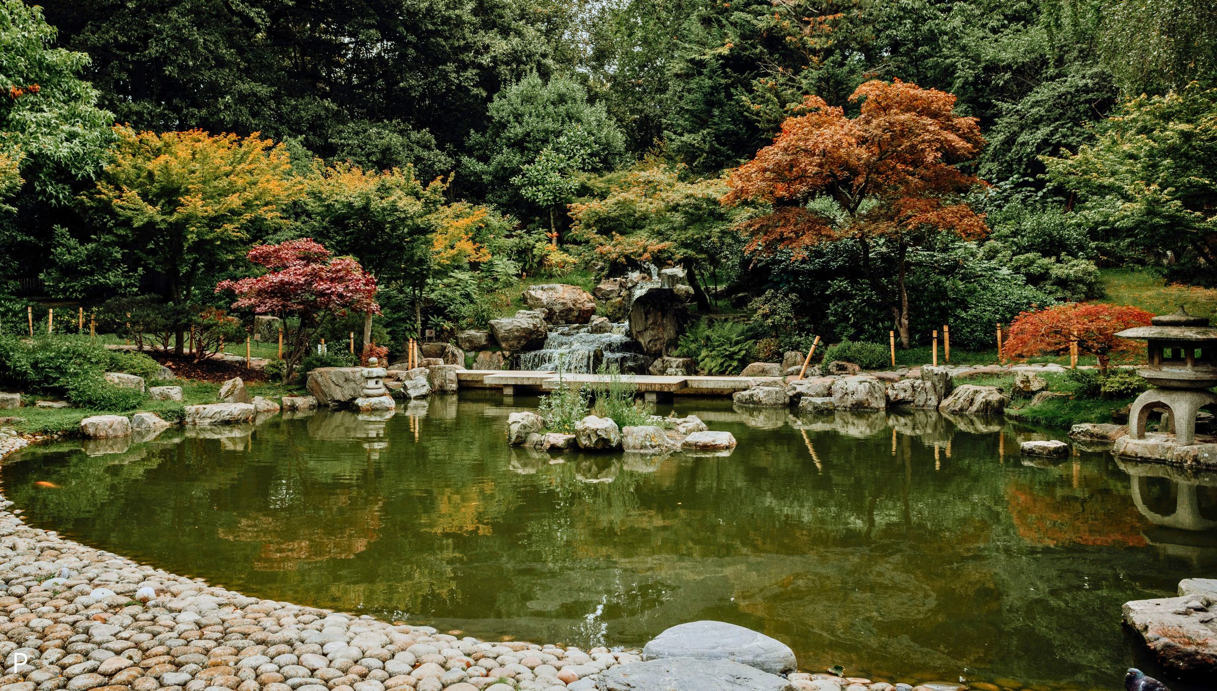 Holland Park: Un'Oasi di Bellezza e Cultura nel Cuore di Londra