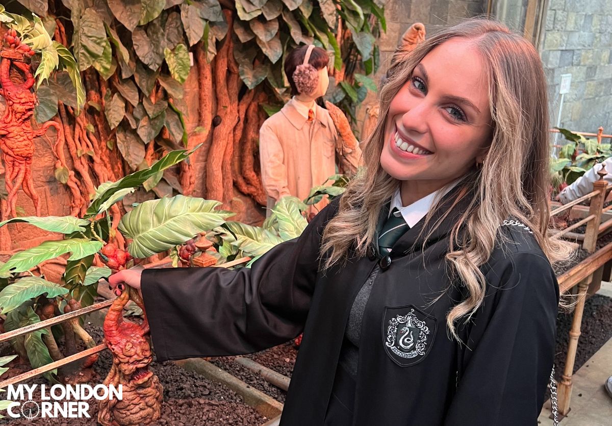 In viaggio con Harry Potter a Londra - Dicembre 2023 - foto 5