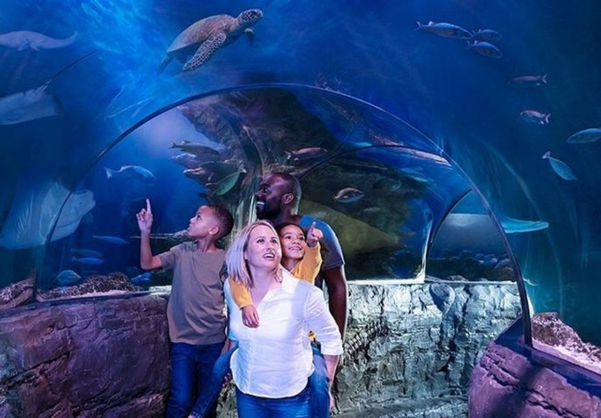 Biglietto d'ingresso al Sea Life London Aquarium