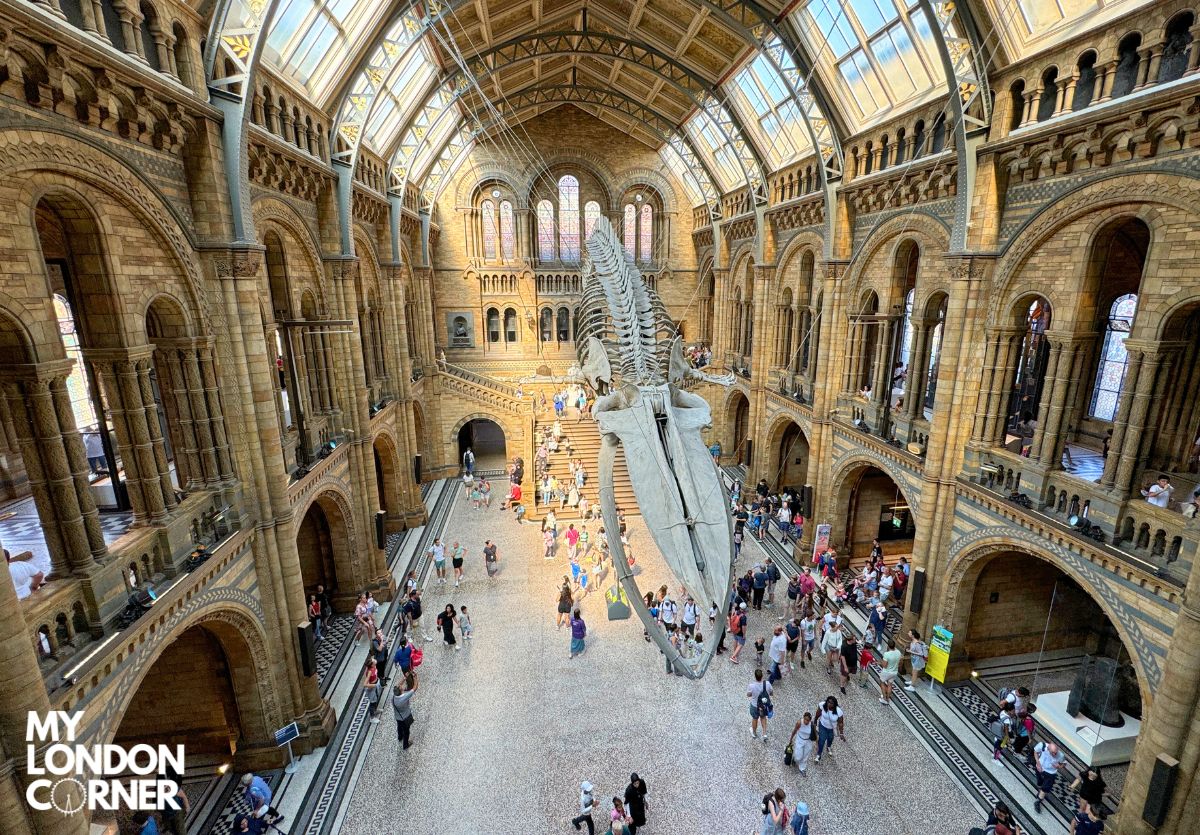 Tour Privato del Natural History Museum con Guida Italiana