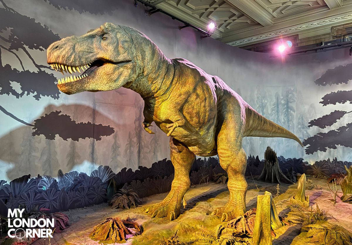 Tour Privato del Natural History Museum con Guida Italiana - foto 3